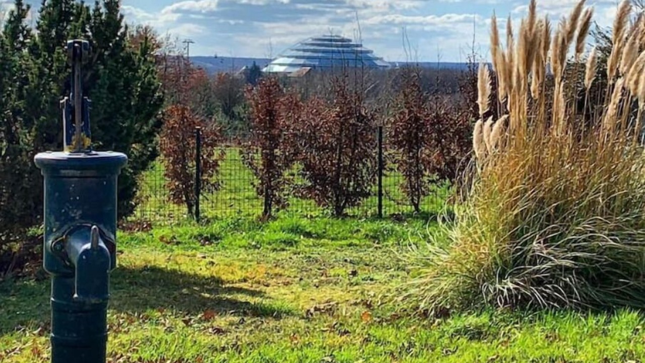 Photo of Outdoor in Saint-Aignan