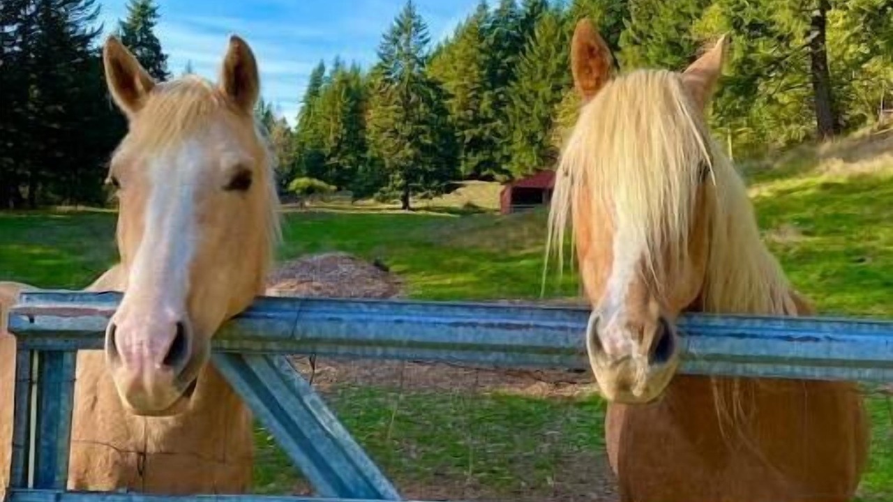 Photo of Others in Stevenson