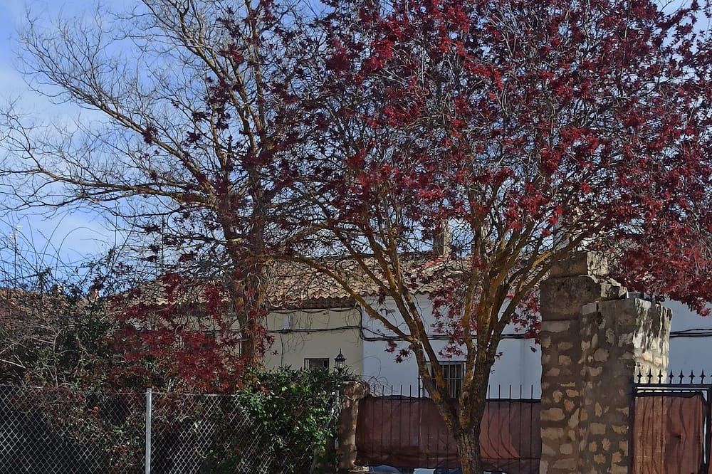 Photo of Outdoor in Cuenca