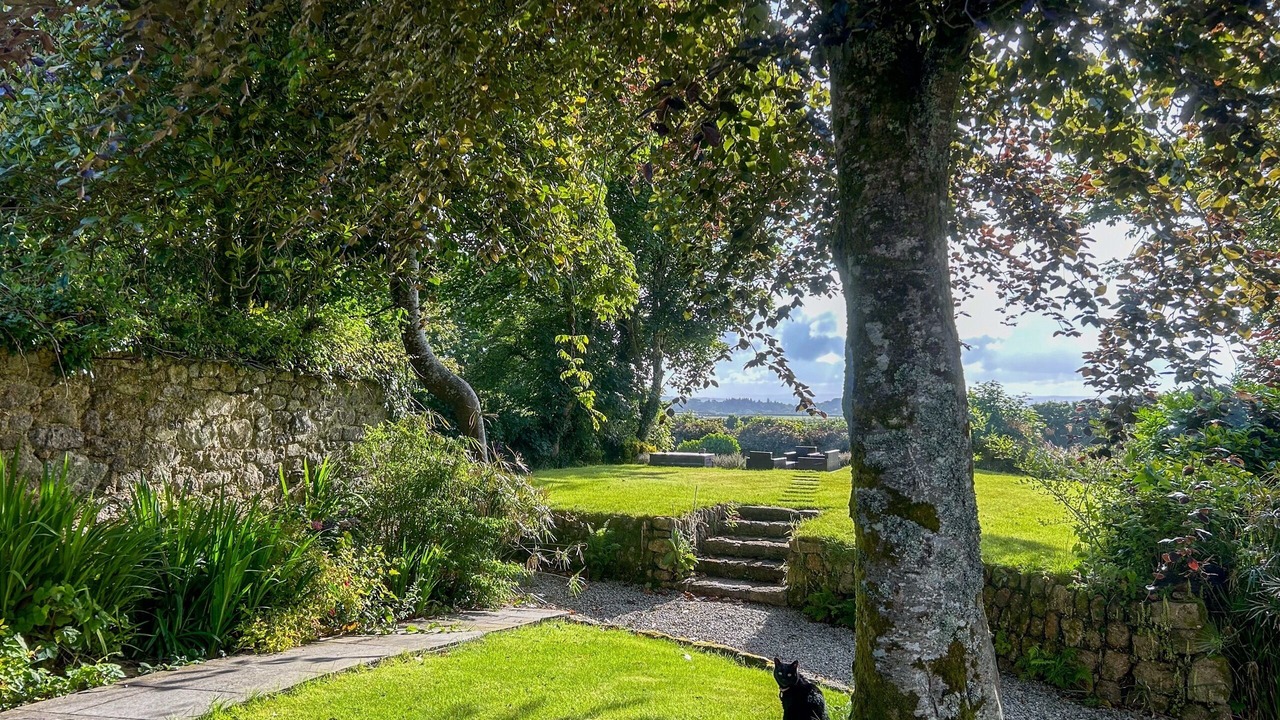 Photo of Outdoor in Sancreed