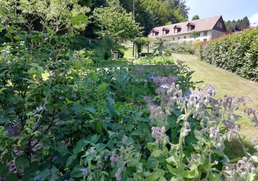 Photo of Outdoor in Urbeis