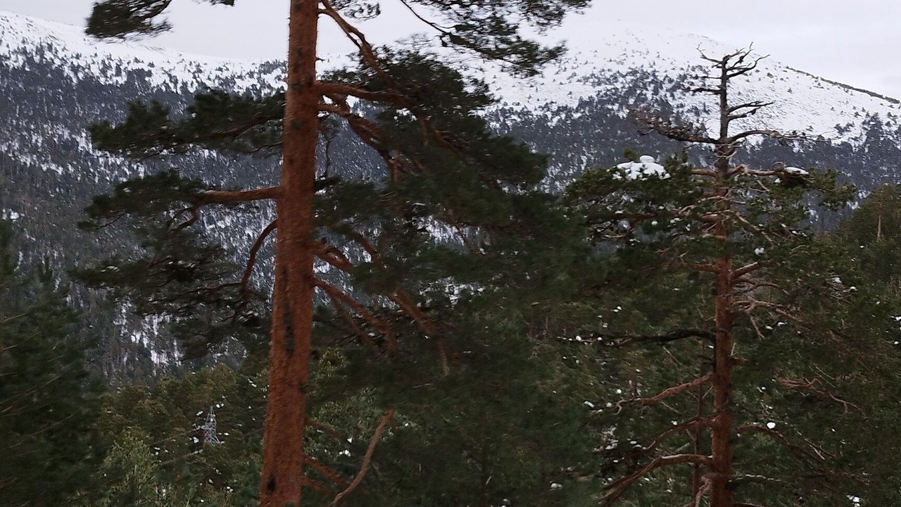 Photo of Outdoor in El Boalo