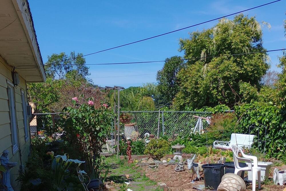 Photo of Outdoor in Pinole