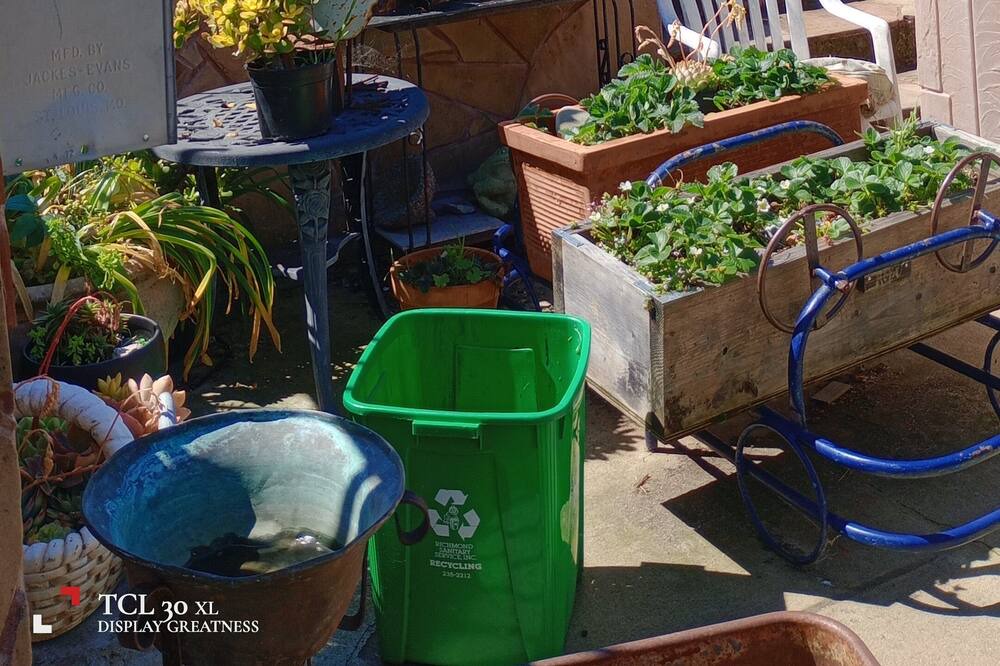 Photo of Outdoor in Pinole