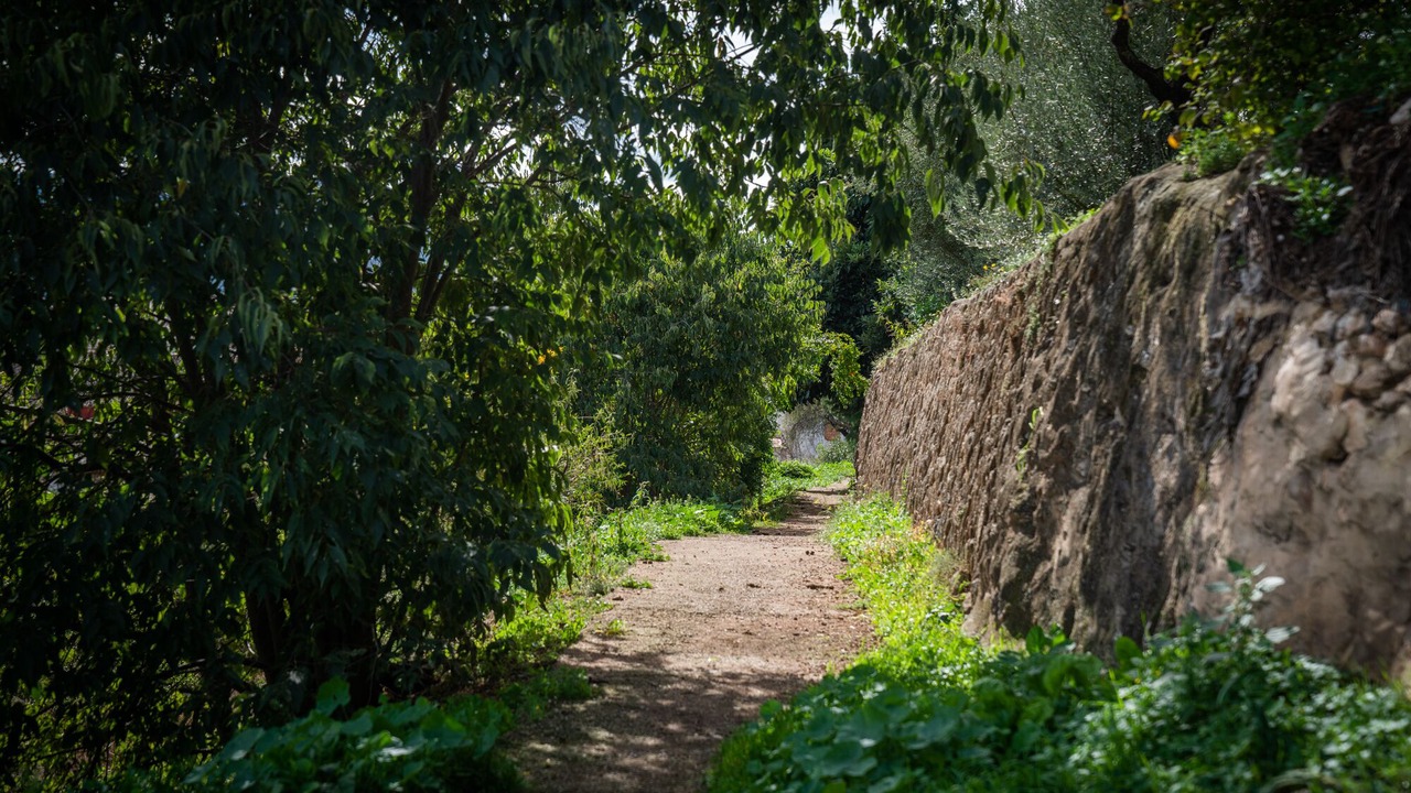 Photo of Outdoor in Cocentaina