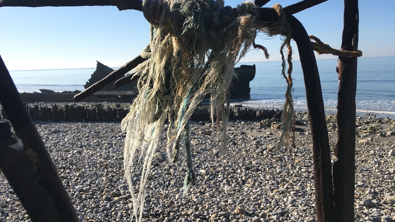 Photo of Others in Octeville-sur-Mer