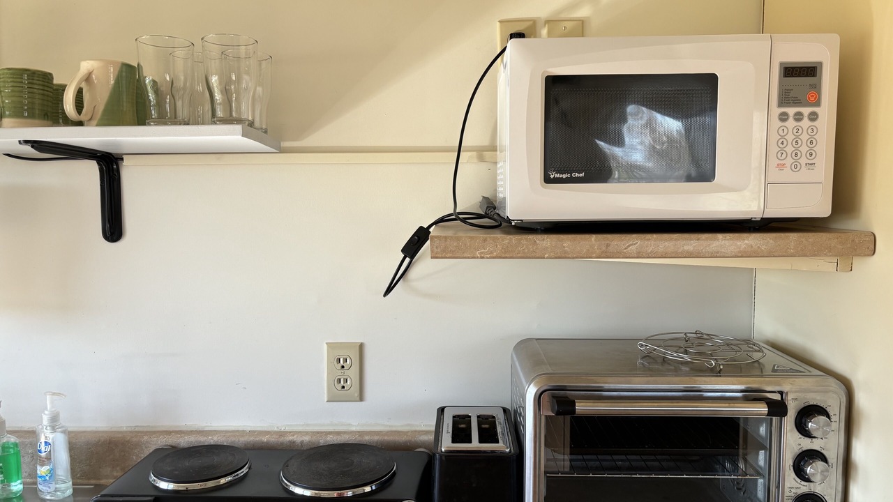 Photo of Kitchen in Brackley Beach