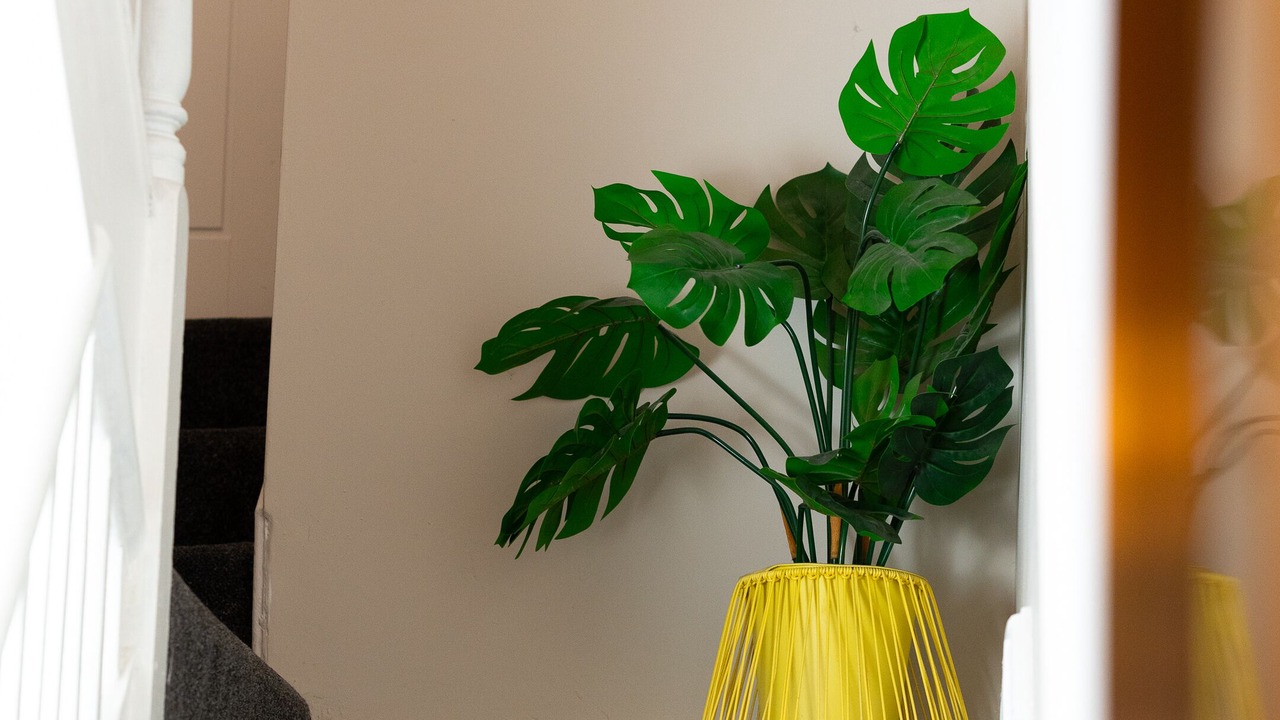 Photo of Others in St. Thomas