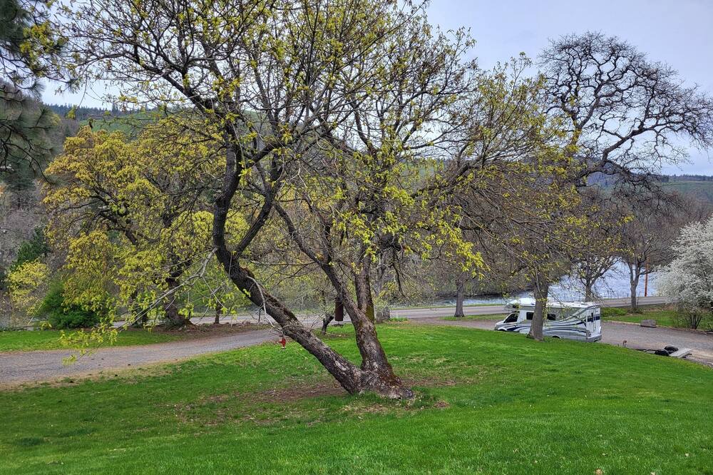 Photo of Outdoor in Lyle