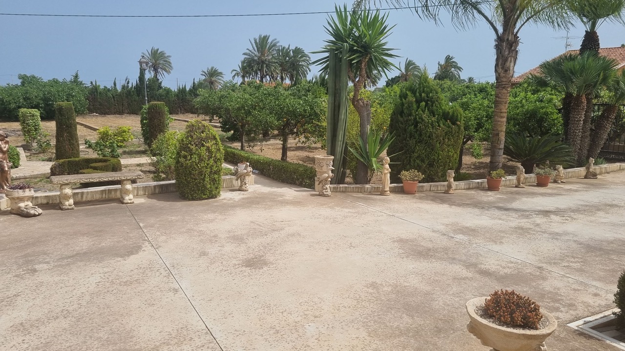 Photo of Outdoor in Elche