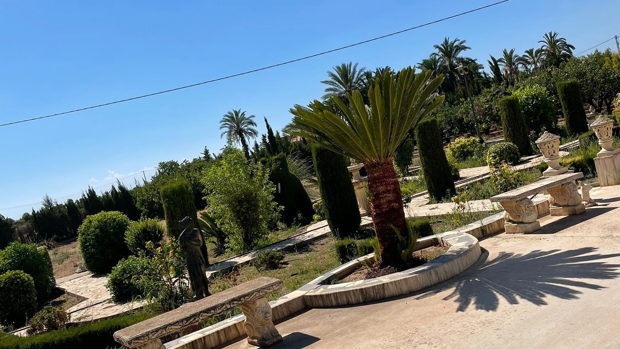Photo of Others in Elche