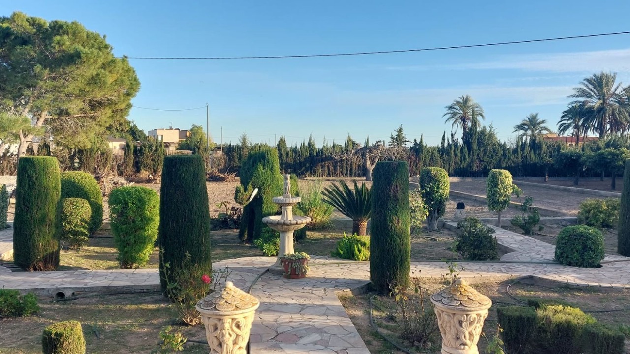 Photo of Outdoor in Elche
