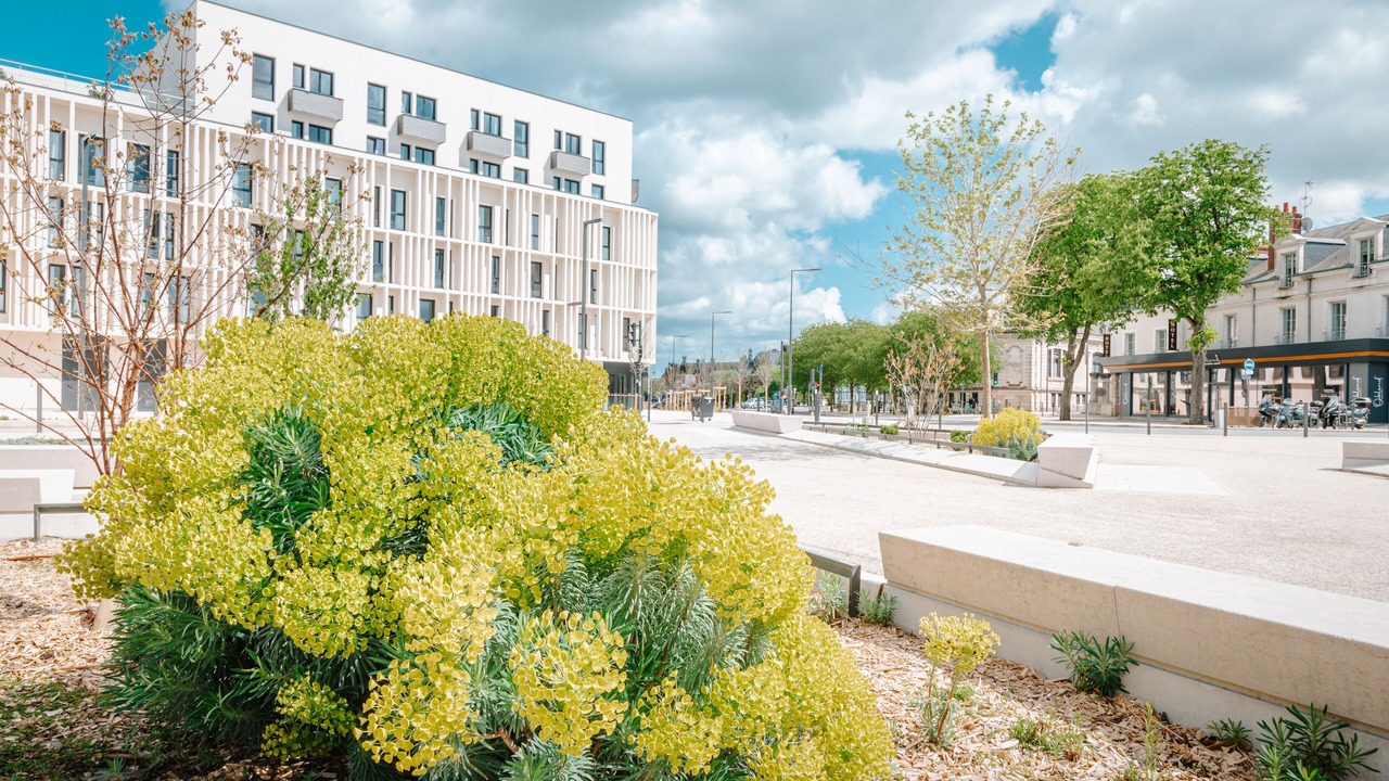 Photo of Outdoor in Blois