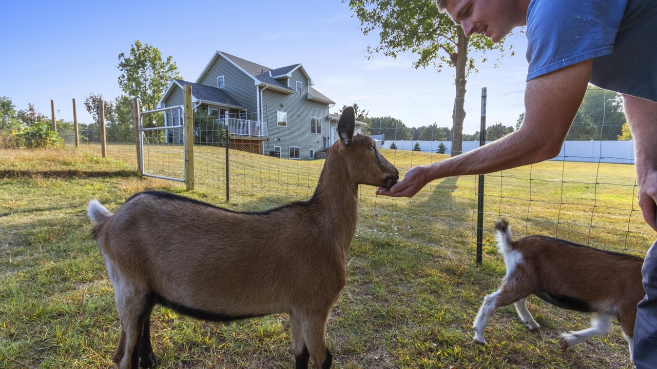 Photo of Others in Oconto