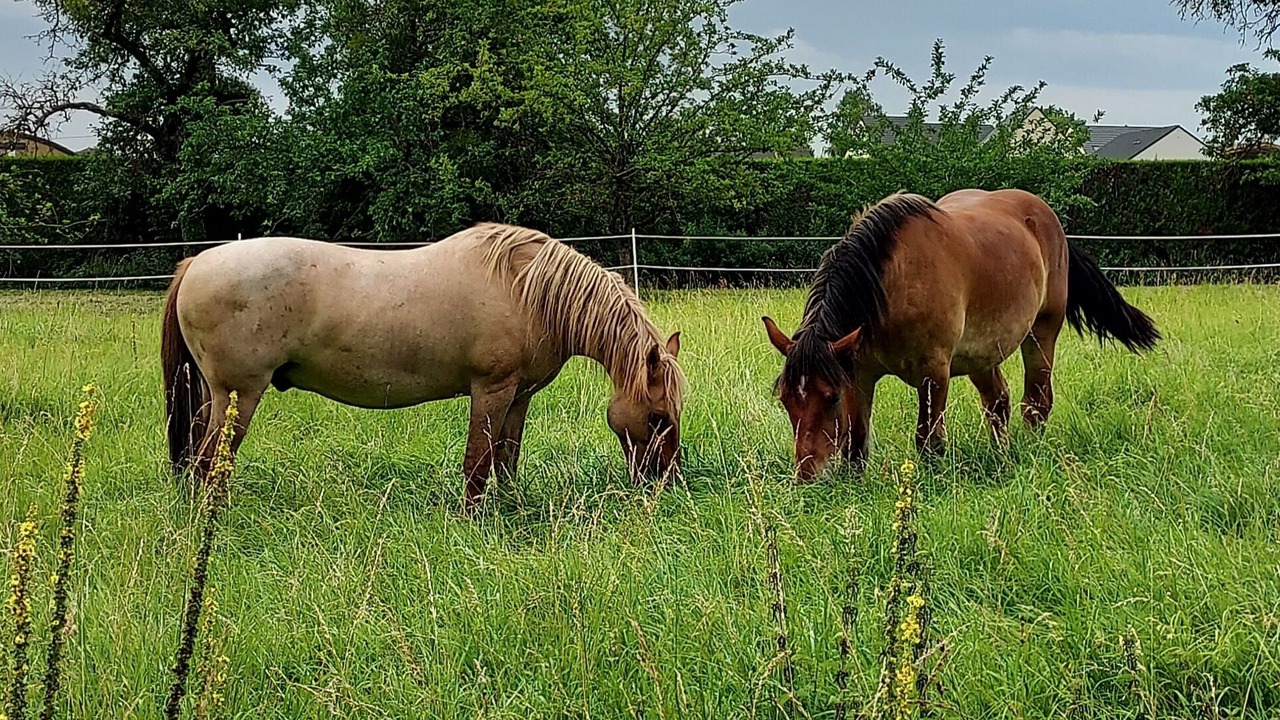 Photo of Others in Juniville