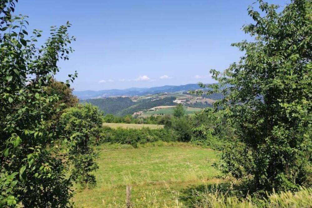 Photo of Others in Saint-Barthelemy-le-Plain