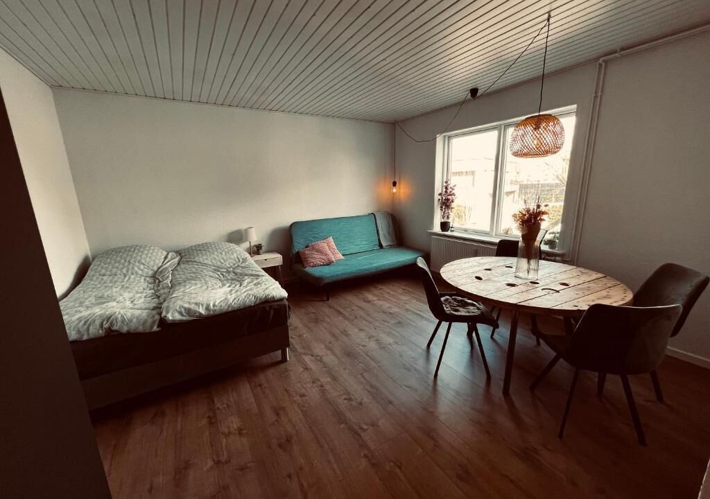 Photo of Others in Silkeborg