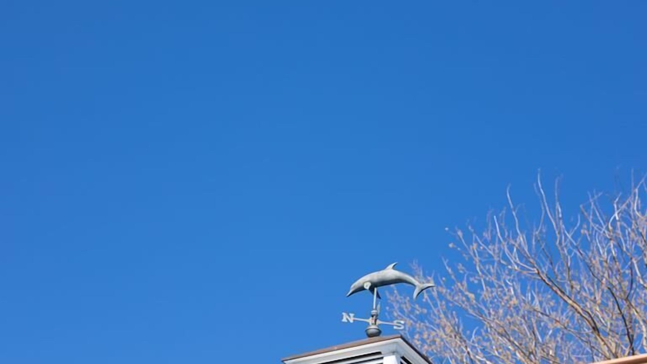 Photo of Outdoor in Cape May Point