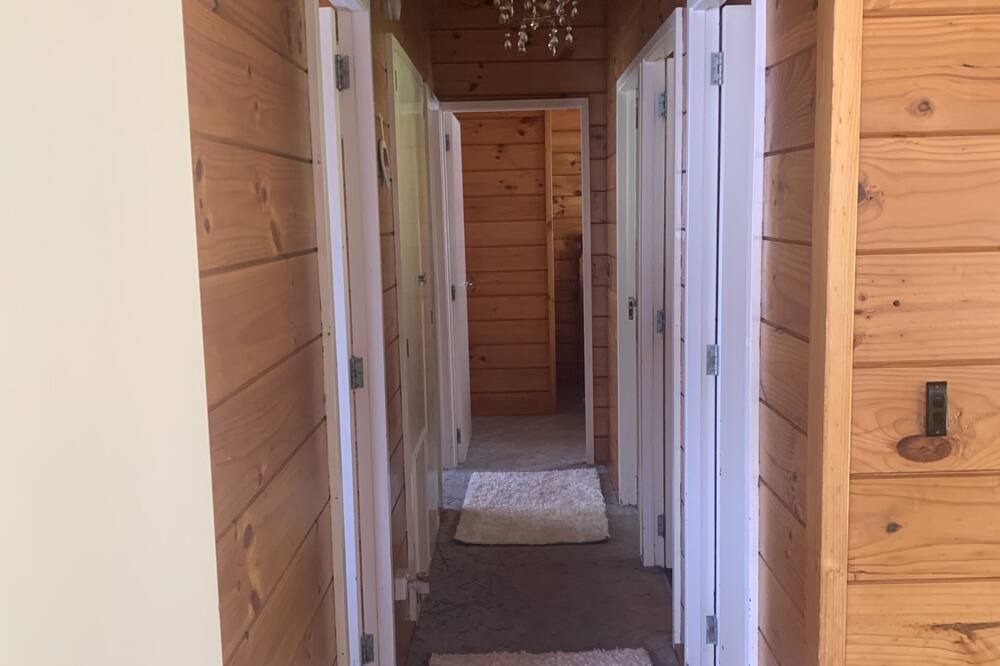 Photo of Others in Rotorua