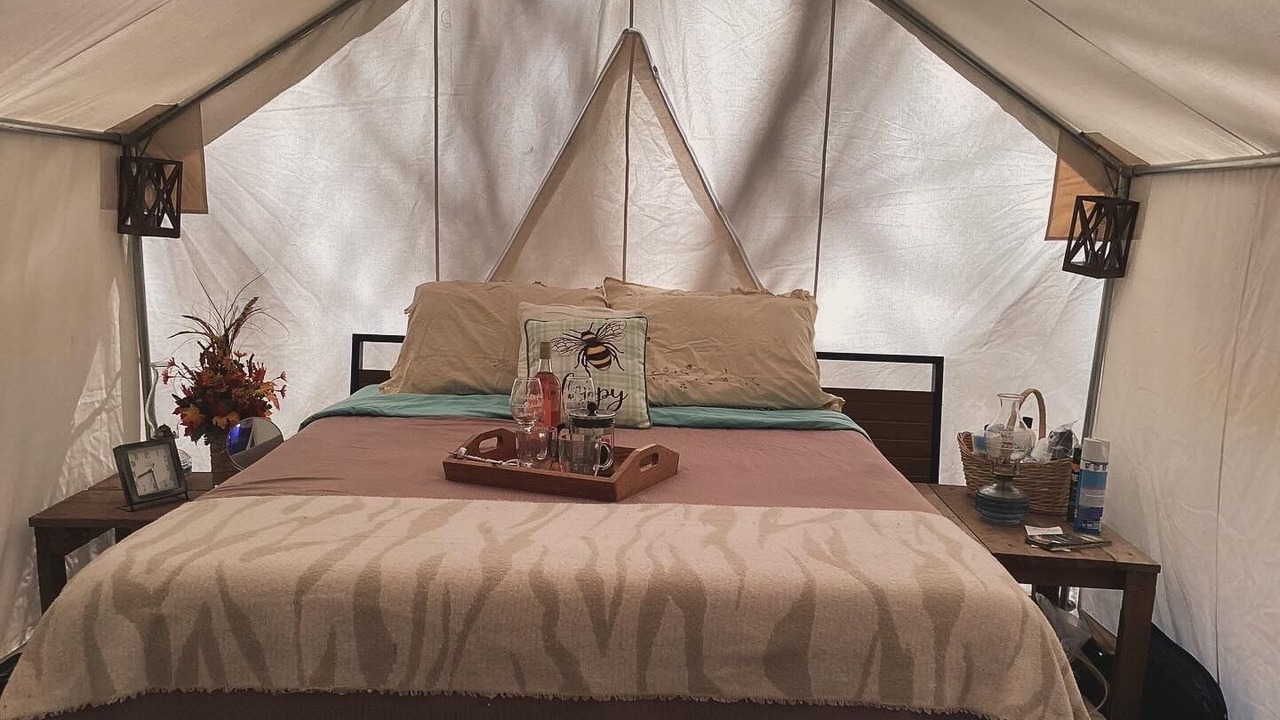 Photo of Others in Turtletown