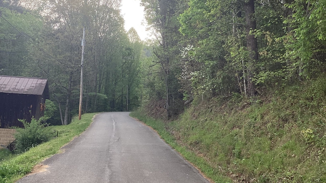 Photo of Outdoor in Turtletown