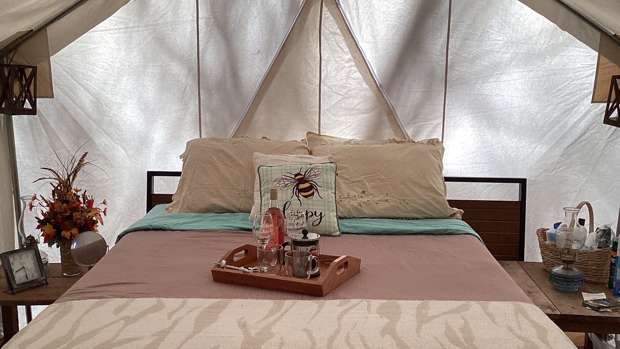 Photo of Others in Turtletown