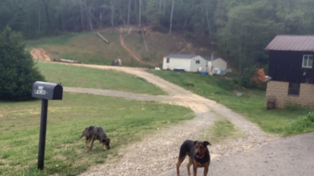 Photo of Outdoor in Turtletown