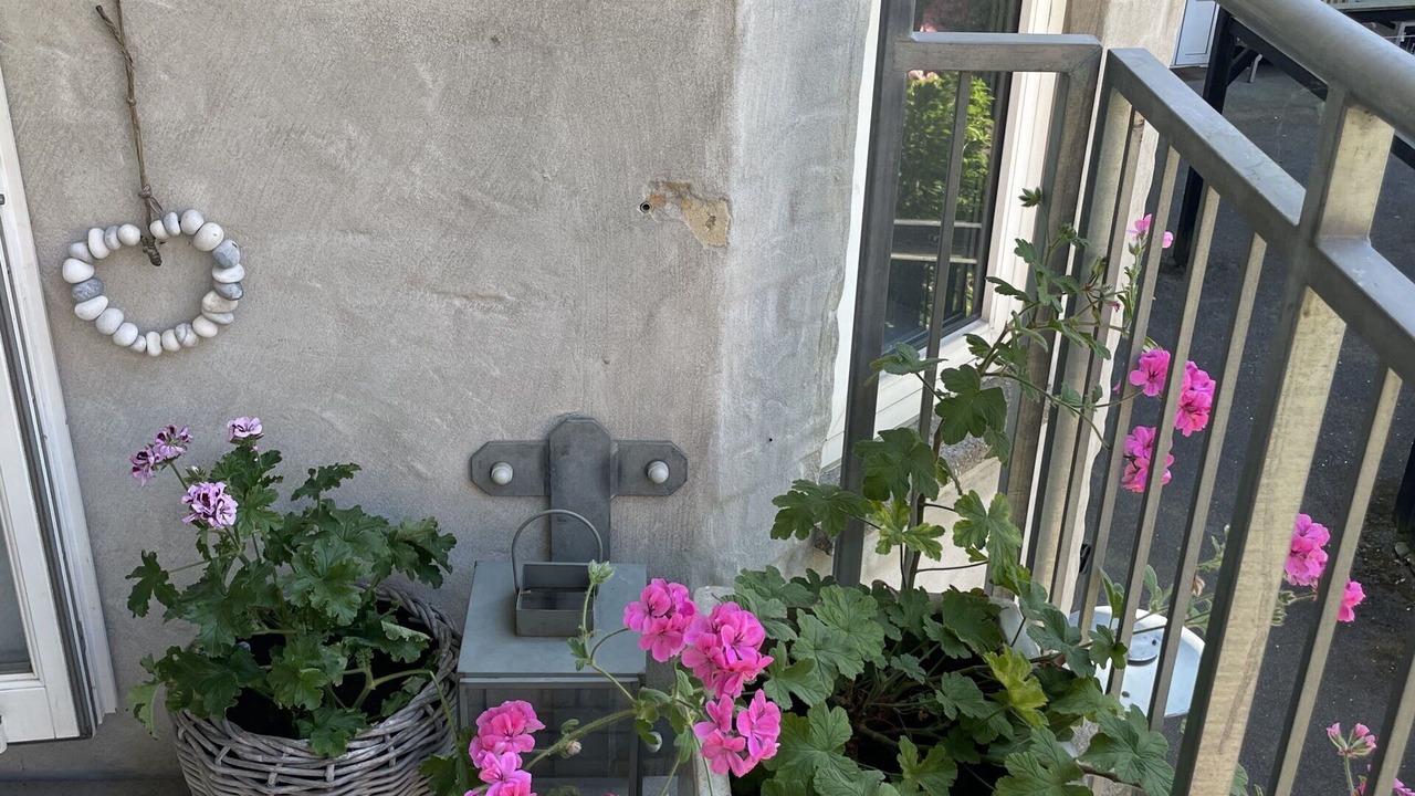 Photo of Outdoor in Hellerup