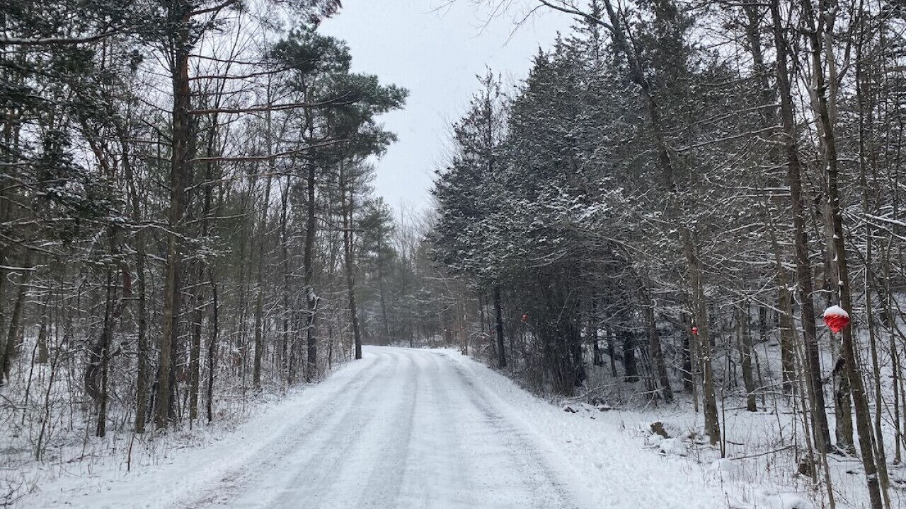 Photo of Others in Frontenac