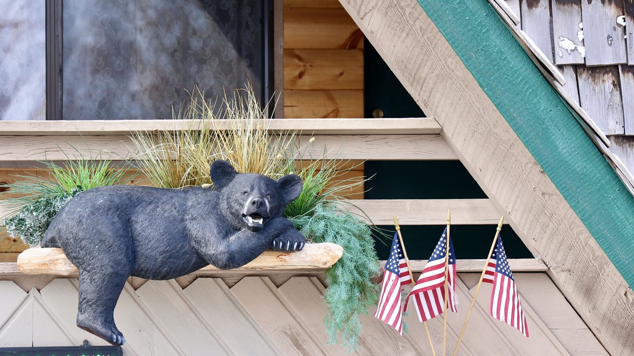 Photo of Outdoor in Dubois