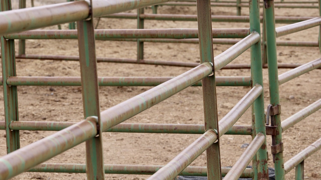 Photo of Outdoor in Dubois