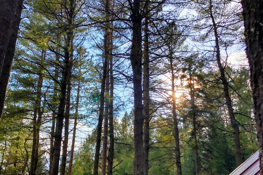 Photo of Others in Madawaska Valley