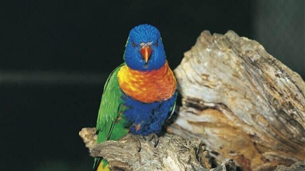 Photo of Others in Charmhaven