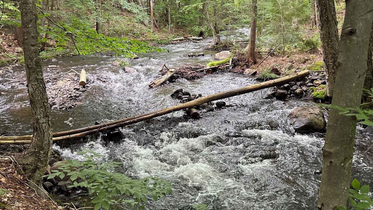 Photo of Outdoor in Pine Hill