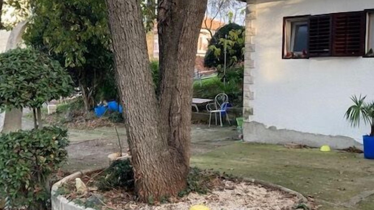 Photo of Others in Gregovica