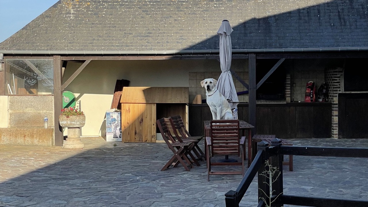 Photo of Outdoor in Boucey