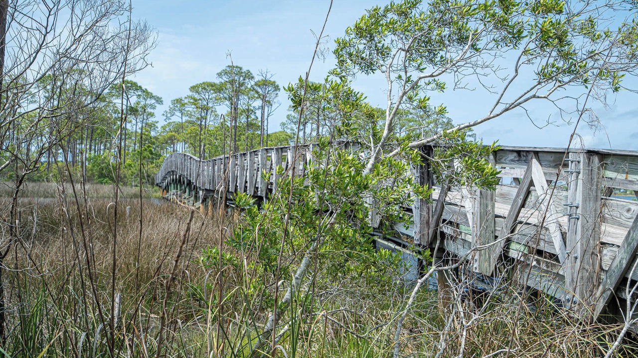 Photo of Others in Baytowne Wharf