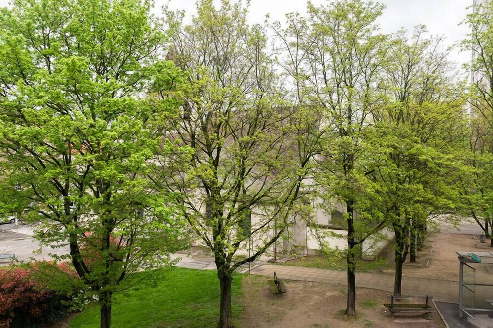 Photo of Outdoor in Bagnolet