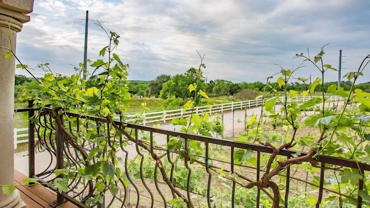 Photo of Others in Marble Falls