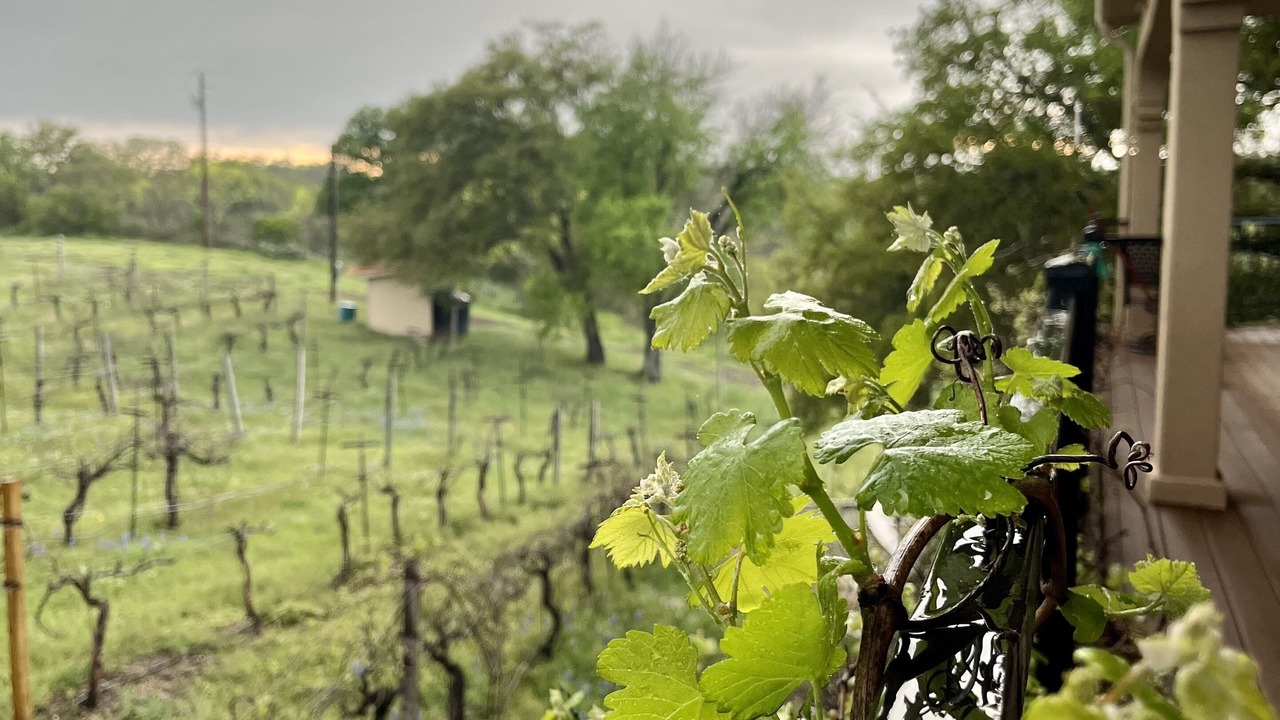 Photo of Outdoor in Marble Falls