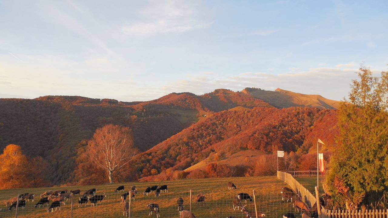 Photo of Outdoor in Castel San Pietro