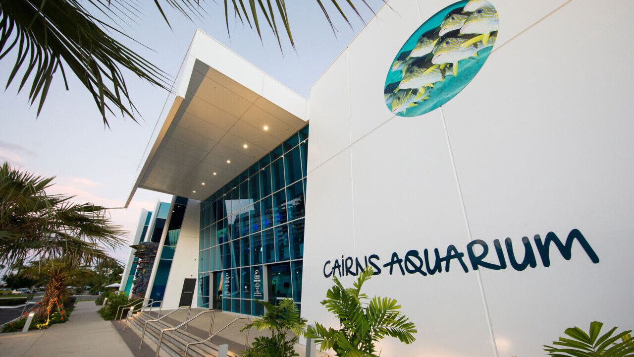 Photo of Outdoor in Parramatta Park