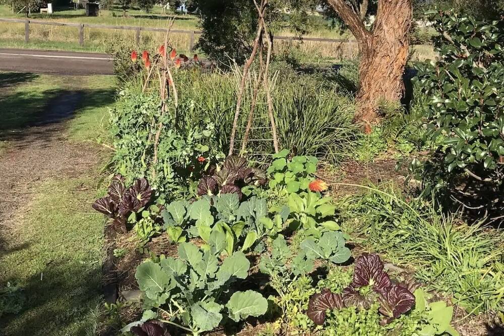 Photo of Outdoor in Mulbring