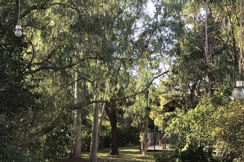 Photo of Outdoor in Mulbring