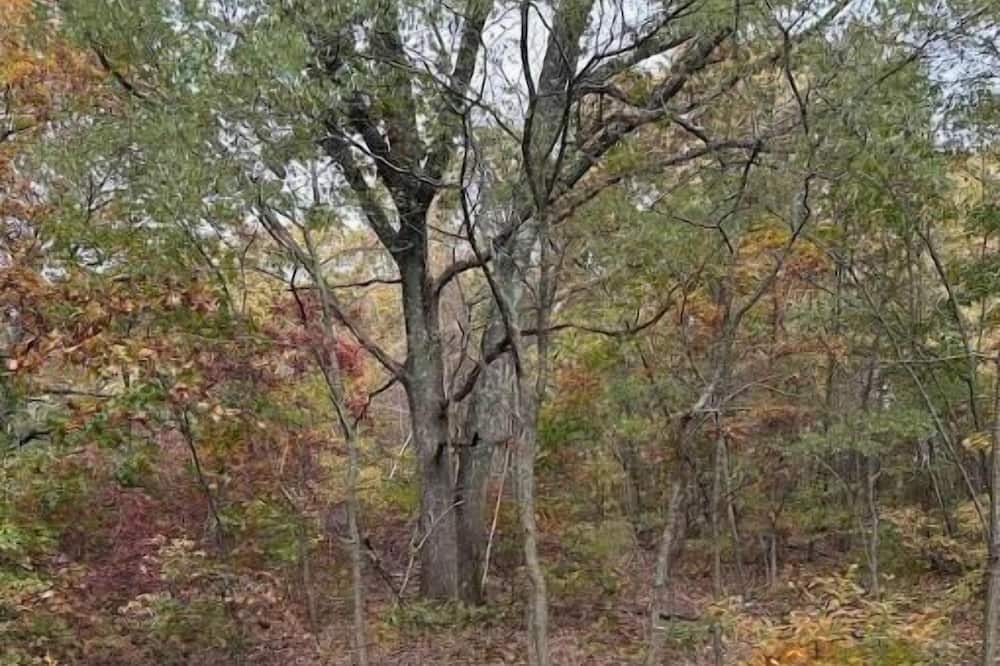 Photo of Outdoor in Webster Square