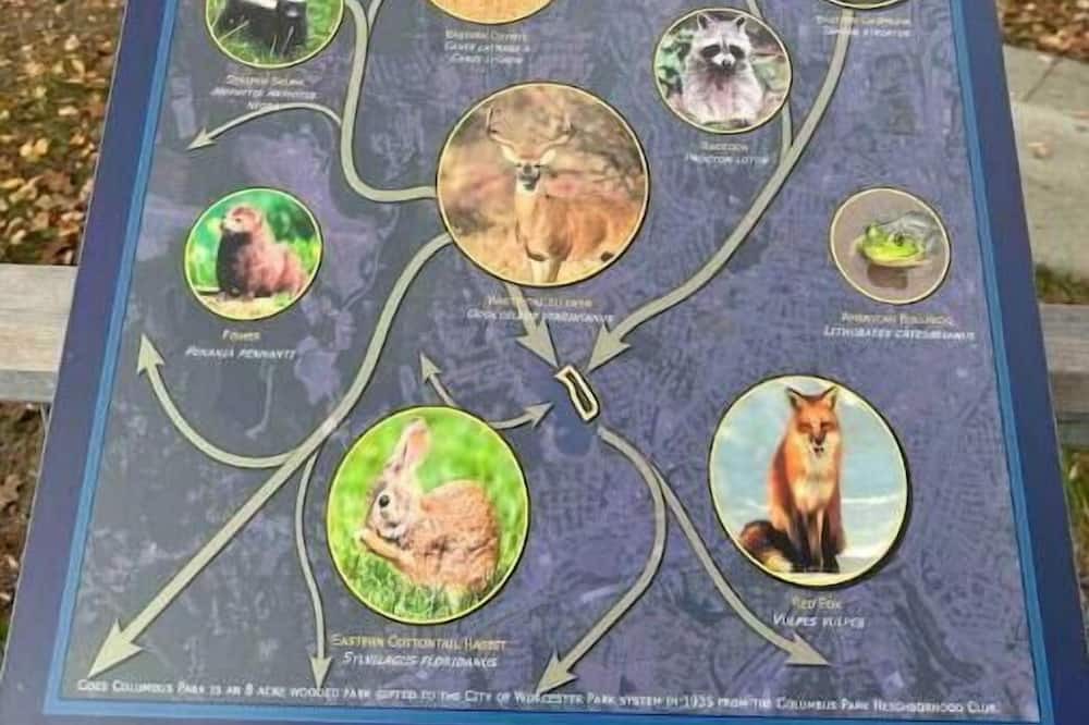 Photo of Others in Webster Square