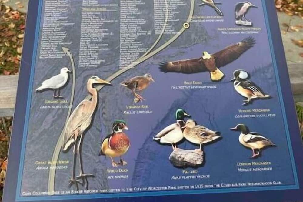 Photo of Others in Webster Square