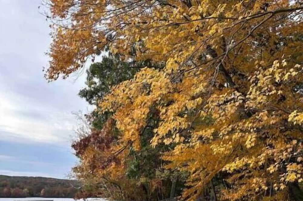 Photo of Outdoor in Webster Square