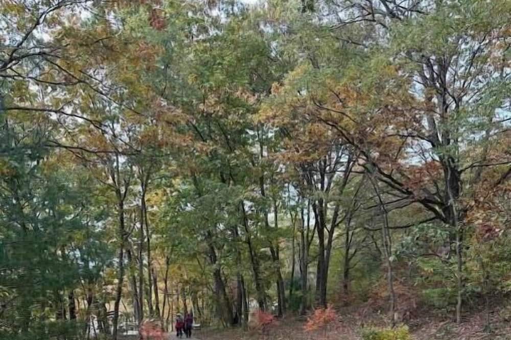 Photo of Outdoor in Webster Square