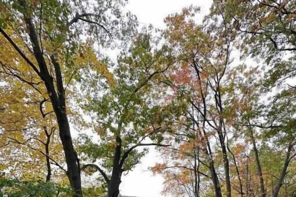 Photo of Outdoor in Webster Square